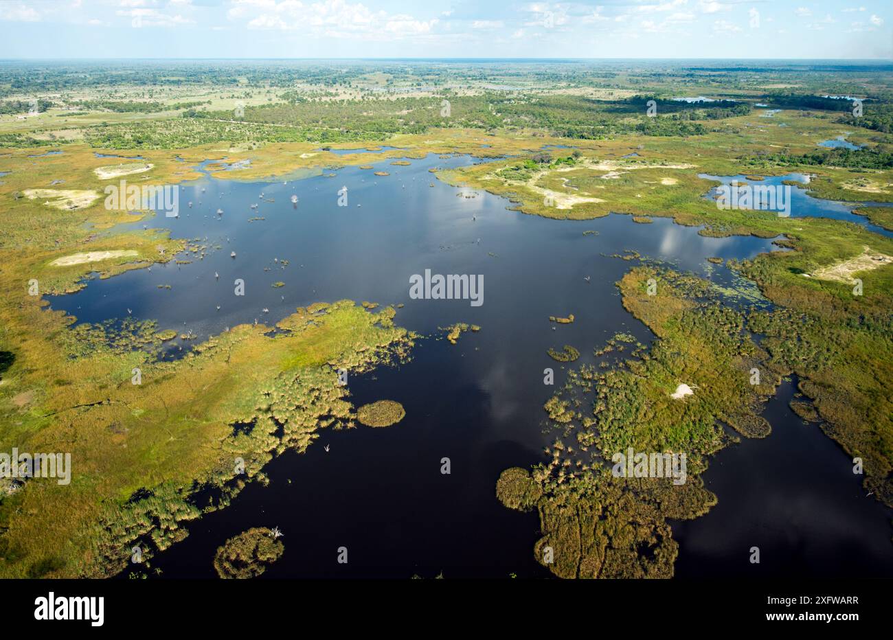 Blick aus der Vogelperspektive auf die Sümpfe und offenen Pools im Okavango Delta, UNESCO-Weltkulturerbe, Weitwinkelblick von einem leichten Flugzeug aus, Botswana. Januar 2018. Stockfoto