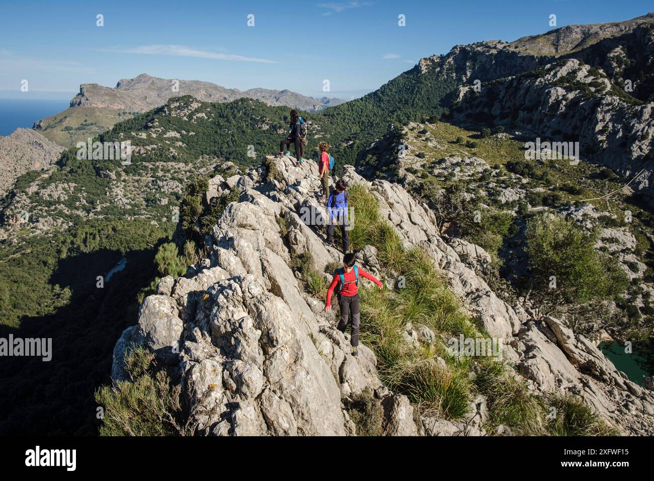 Wanderer, die am nordöstlichen Bergrücken nach Puig de Ses Vinyes aufsteigen, Escorca, Mallorca, Balearen, Spanien. Stockfoto