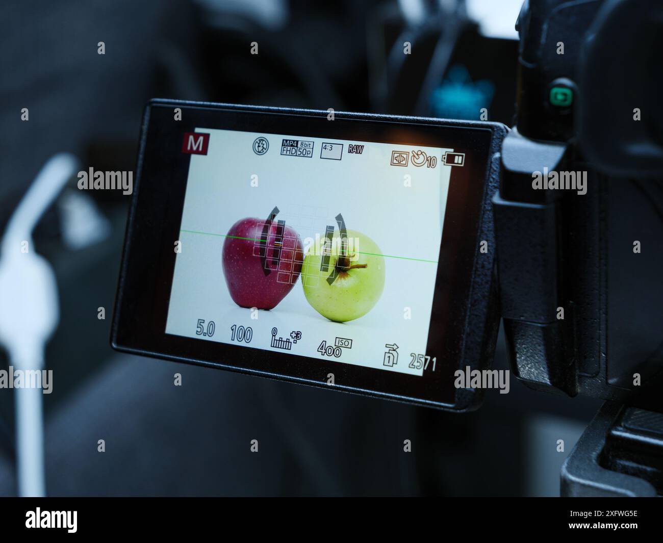 Eine professionelle Kamera im Studio zeigt einen roten und gelben Apfel auf dem Bildschirm an. Die Kamera nimmt im manuellen Modus auf, und das Fokusraster ist sichtbar. Stockfoto