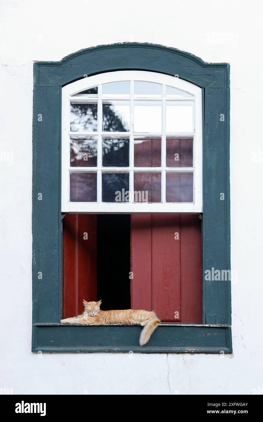 Pelzige gelbe Katze, die in einem alten grünen Fenster schläft Stockfoto