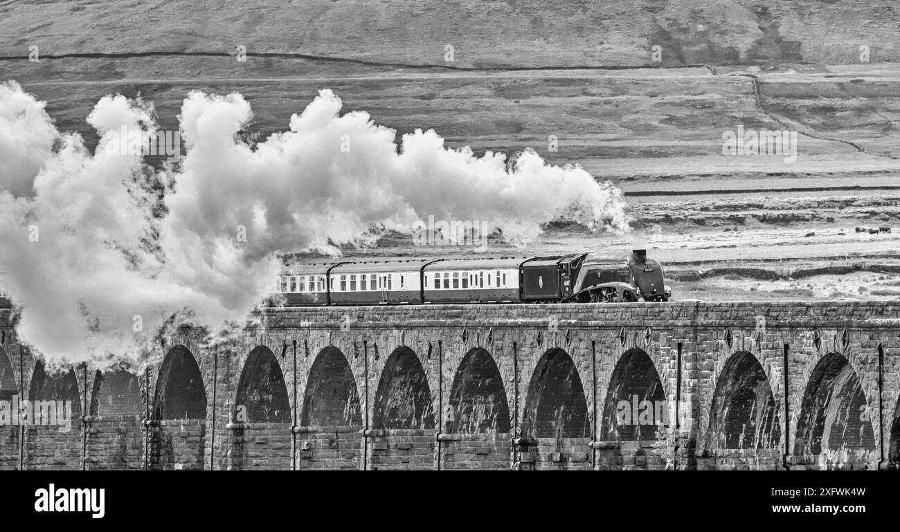 Das Bild zeigt den BR, LNER A4 Pacific Class, 4-6-2, 60007, Sir Nigel Gresley Dampfzug, der das Ribblehead-Viadukt in den Yorkshire Dales überquert Stockfoto