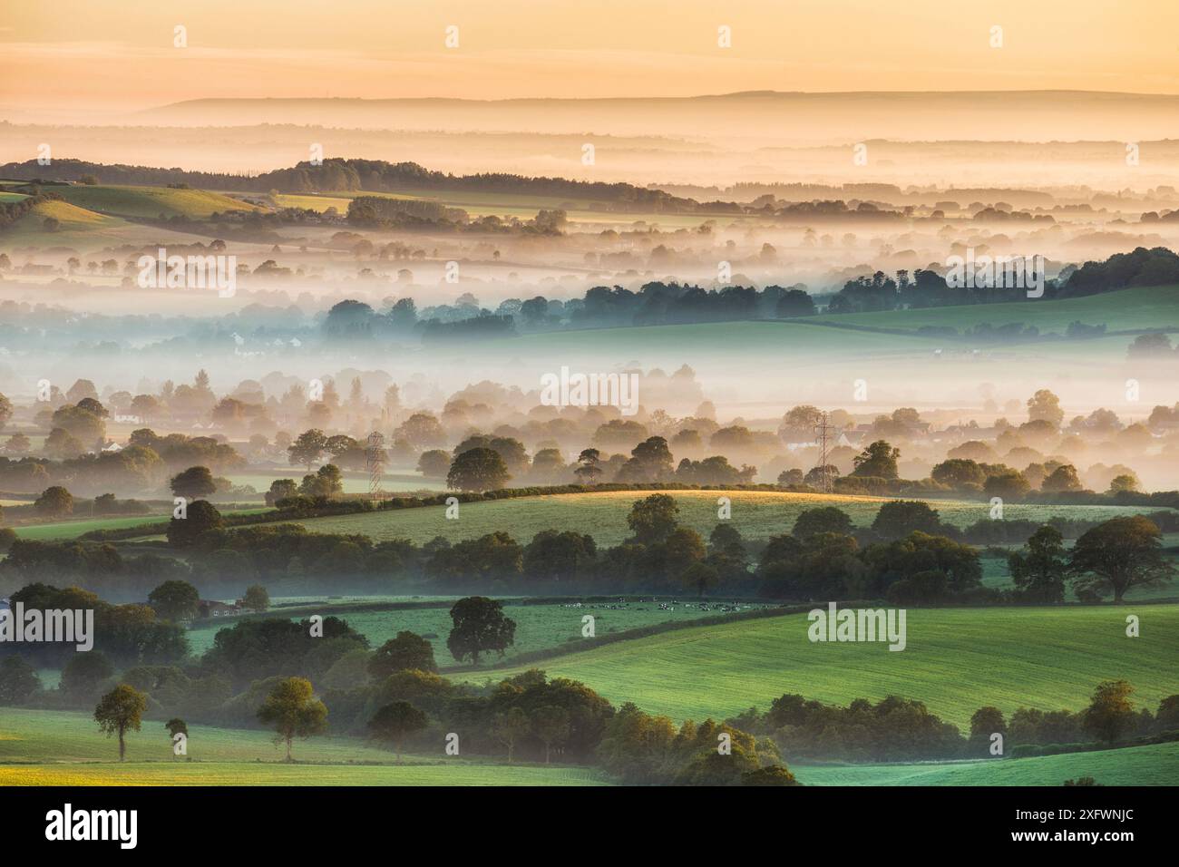 Marshwood Vale im Morgennebel, aus Pilsdon Pen, Dorset, England, Großbritannien. Juli 2012. Stockfoto