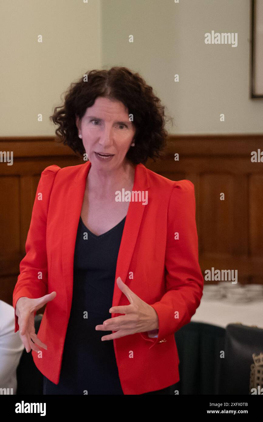 SPEICHERT BILDER. Juli 2024. Anneliese Dodds, Labour and Co-operative Party, wurde nach den gestrigen Parlamentswahlen zum Parlamentsabgeordneten für den Wahlkreis Oxford East gewählt. Westminster, Großbritannien. 24. Oktober 2023 Gill Furniss Parlamentsabgeordnete nimmt an einem Paliamentsempfang im Unterhaus Teil. Kredit: Maureen McLean/Alamy Stockfoto