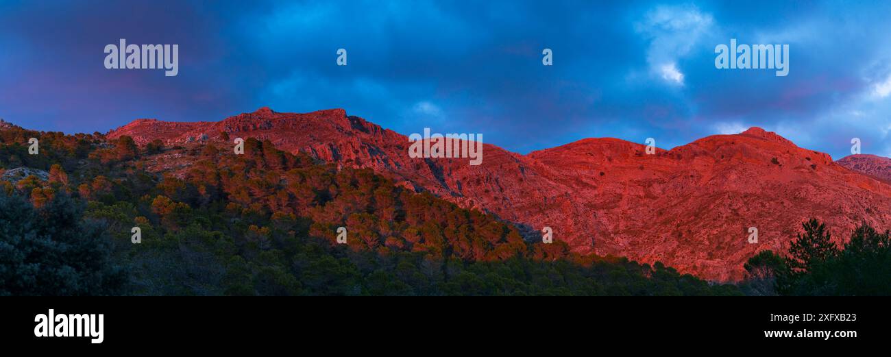 Naturpark Sierra de las Nieves, Malaga, Andalusien, Spanien. Januar 2018. Stockfoto