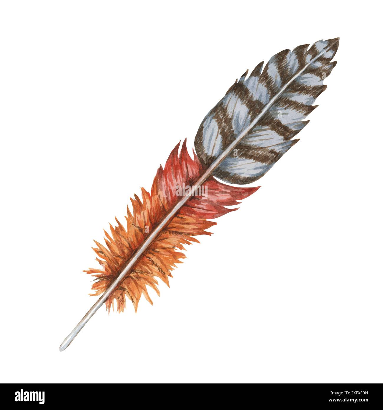 Feder in Aquarellfarben, die tiefrote, orange, braune und dunkelgraue Töne kombiniert. Imagination Vogelgefieder Clipart für digitale Kunstwerke, Modeaccessoires und Bohemian Motive, Wohnkultur Stockfoto