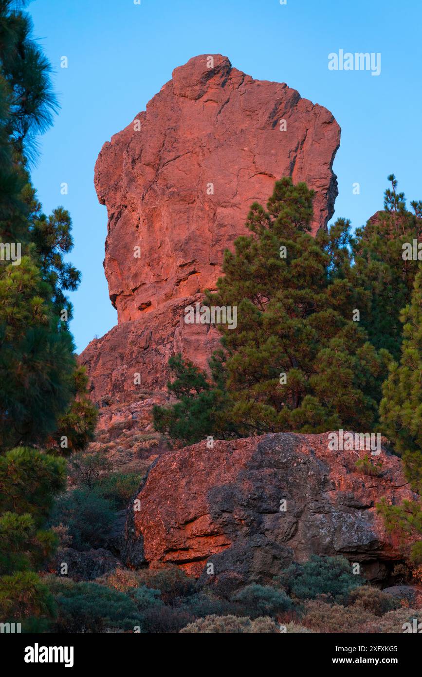 Roque Nublo heiliger Berg, Schlucht Tirajana, Insel Gran Canaria, Kanarische Inseln, Spanien August 2018. Stockfoto