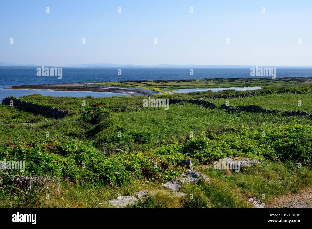Wunderschöne Landschaft auf Inish More, Aran Island, Inishmore, Co, Galway, Irland Stockfoto