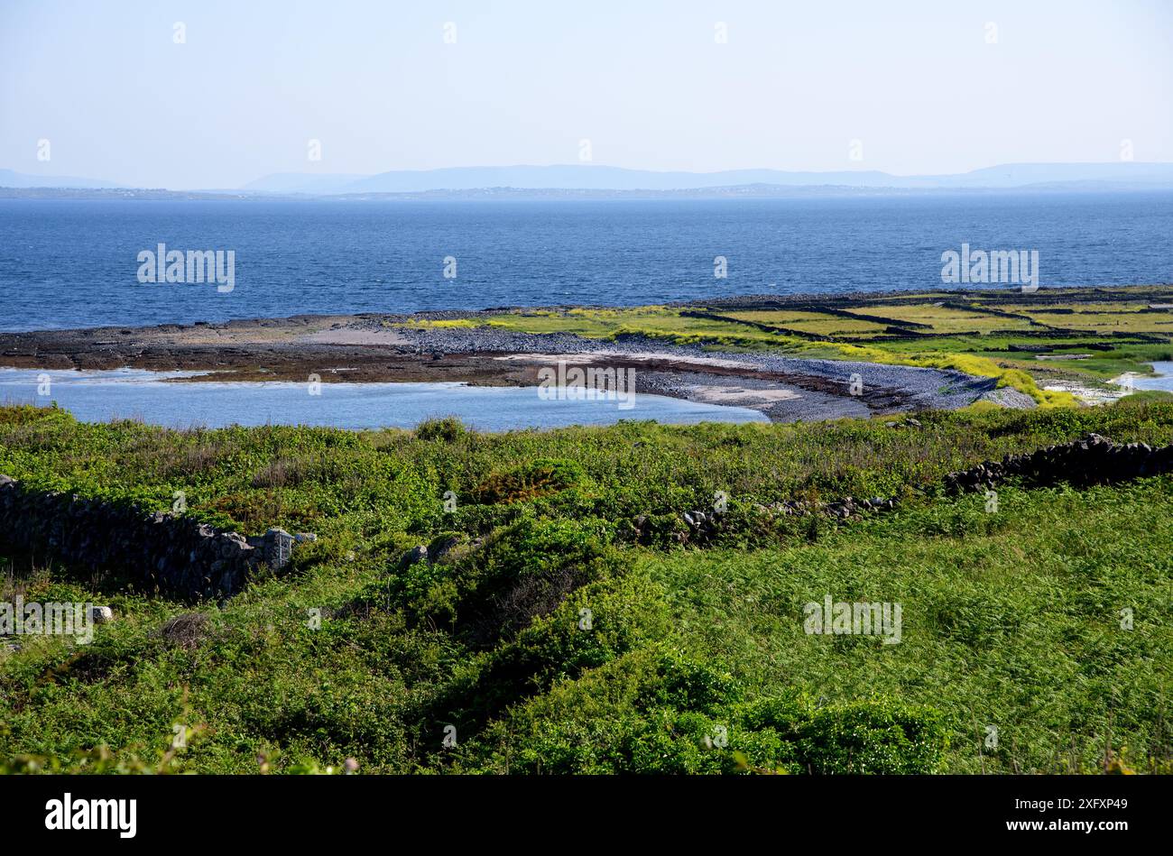 Der Strand der Robbenkolonie auf Inis Mor, Co, Galway, Inishmore, Aran Island, Irland Stockfoto Der Strand der Robbenkolonie auf Inis Mor, Co, Galway, Inishmore, Aran Island, Irland Stockfoto