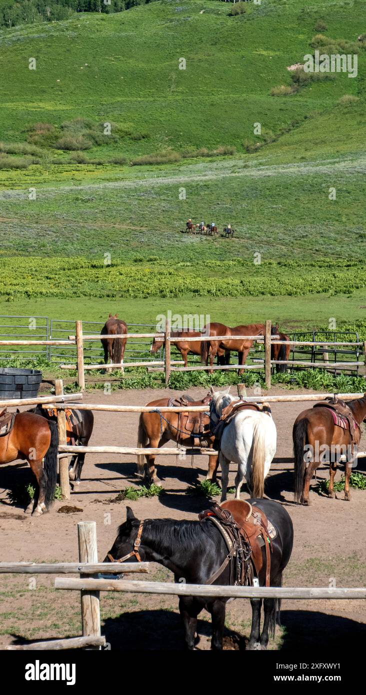 Pferdestall für Pferdeabenteuer in den Elk Mountains in Crested Butte, Colorado Stockfoto