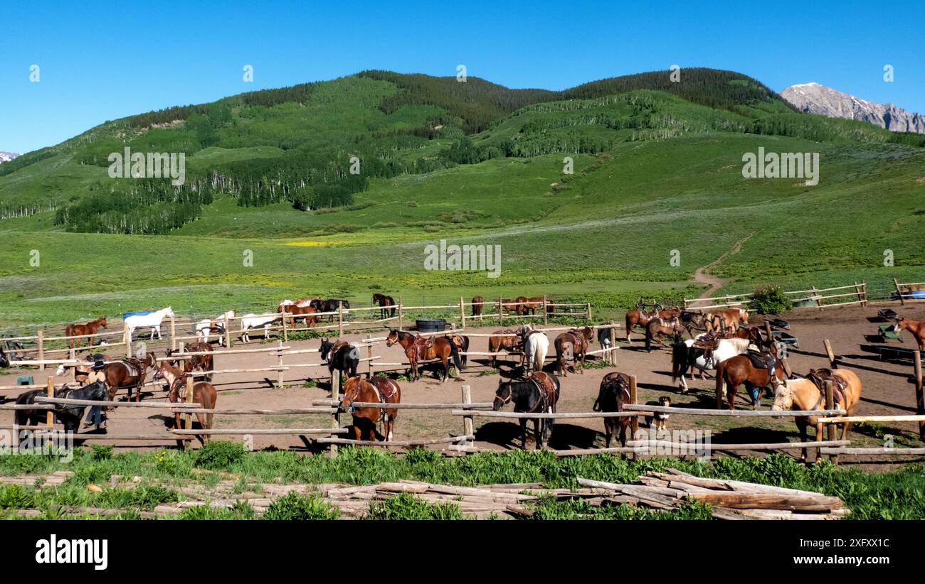 Pferdestall für Pferdeabenteuer in den Elk Mountains in Crested Butte, Colorado Stockfoto