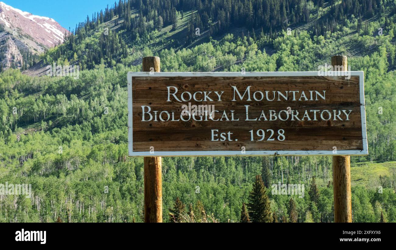 Rocky Mountain Biological Laboratory in Gothic, Colorado. Stockfoto