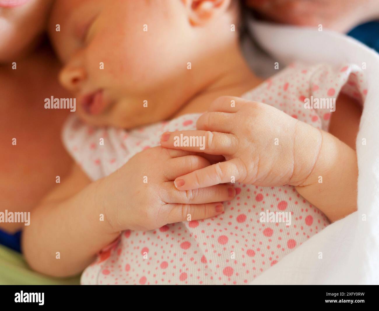 Porträt eines schlafenden neugeborenen Mädchens. Selektiven Fokus auf kleine Hände Stockfoto