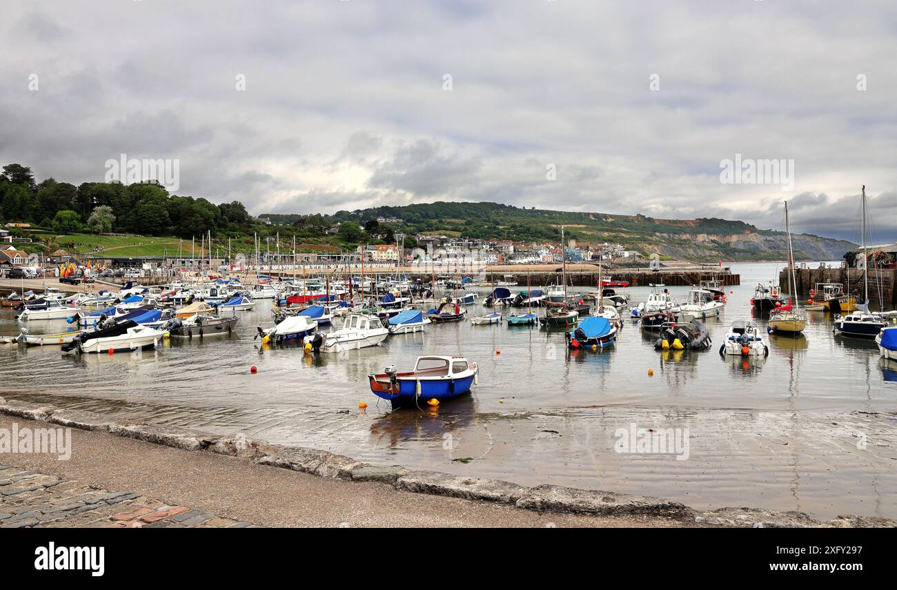 Lyme Regis Harbour in Dorset, England, mit Booten am Strand bei Ebbe Stockfoto