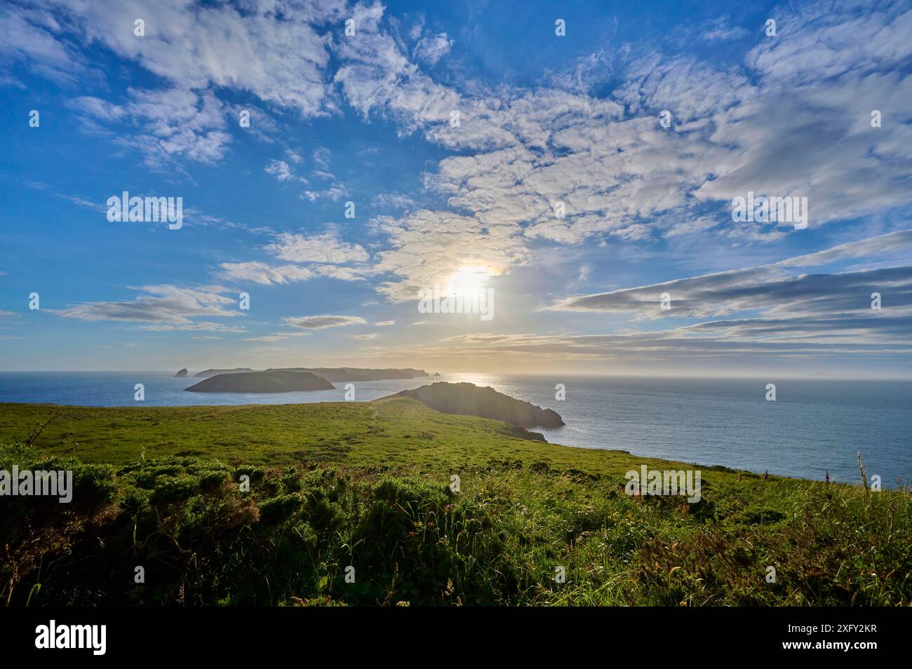 Küste, Inseln, Meer, Himmel, Sonne, Sommer, Skomer Island, Martin's Haven, Pembrokeshire Coast Path, Haverfordwest, Wales, Vereinigtes Königreich Stockfoto