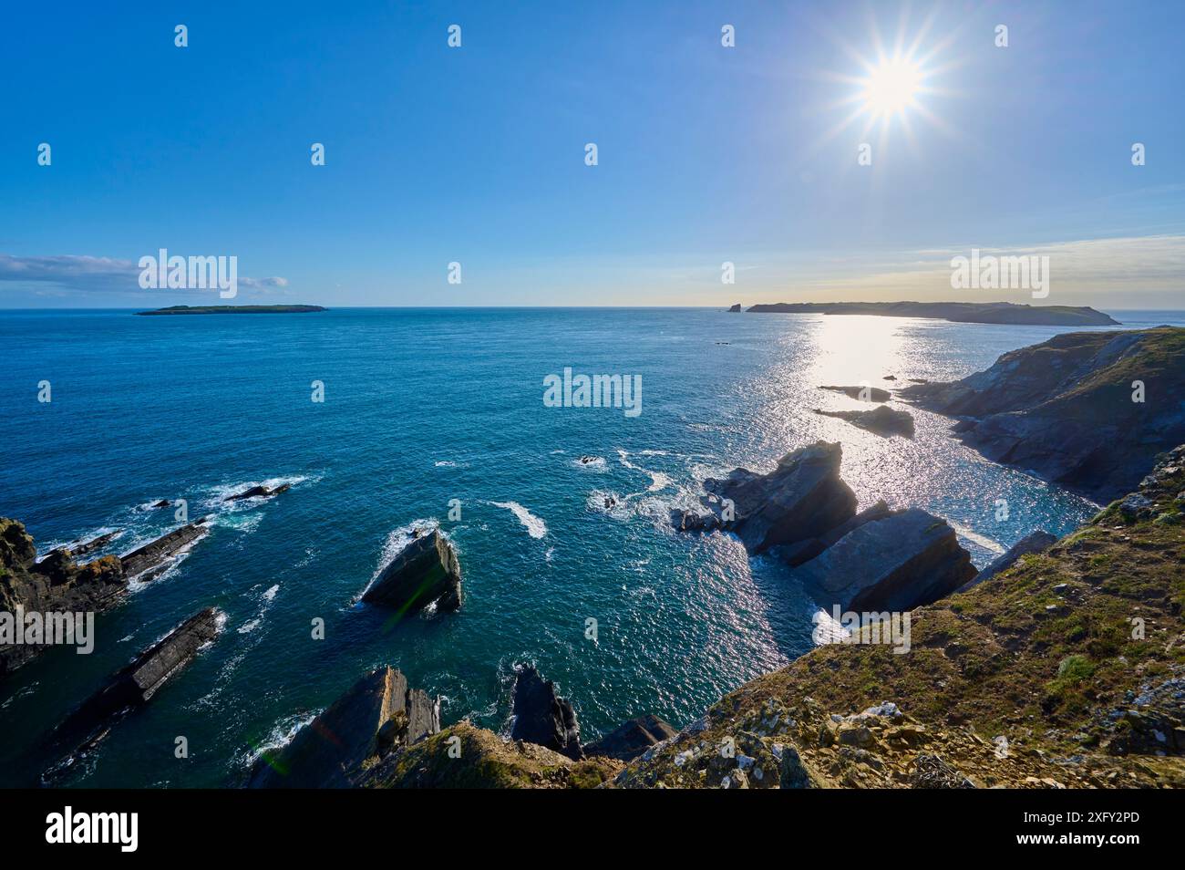 Küste, Inseln, Meer, Himmel, Sonne, Sommer, Skomer Island, Martin's Haven, Pembrokeshire Coast Path, Haverfordwest, Wales, Vereinigtes Königreich Stockfoto