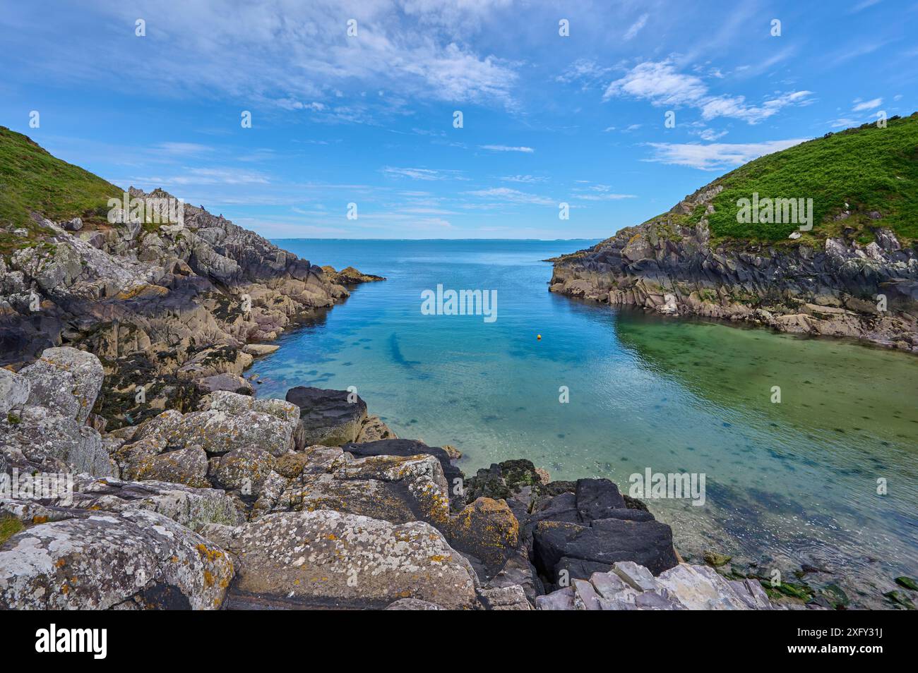 Hafen, Ebbe, Meer, Bucht, Sommer, Porthclais Harbour Authority, St Davids, Haverfordwest, Pembrokeshire Coast National Park, Wales, Vereinigtes Königreich Stockfoto