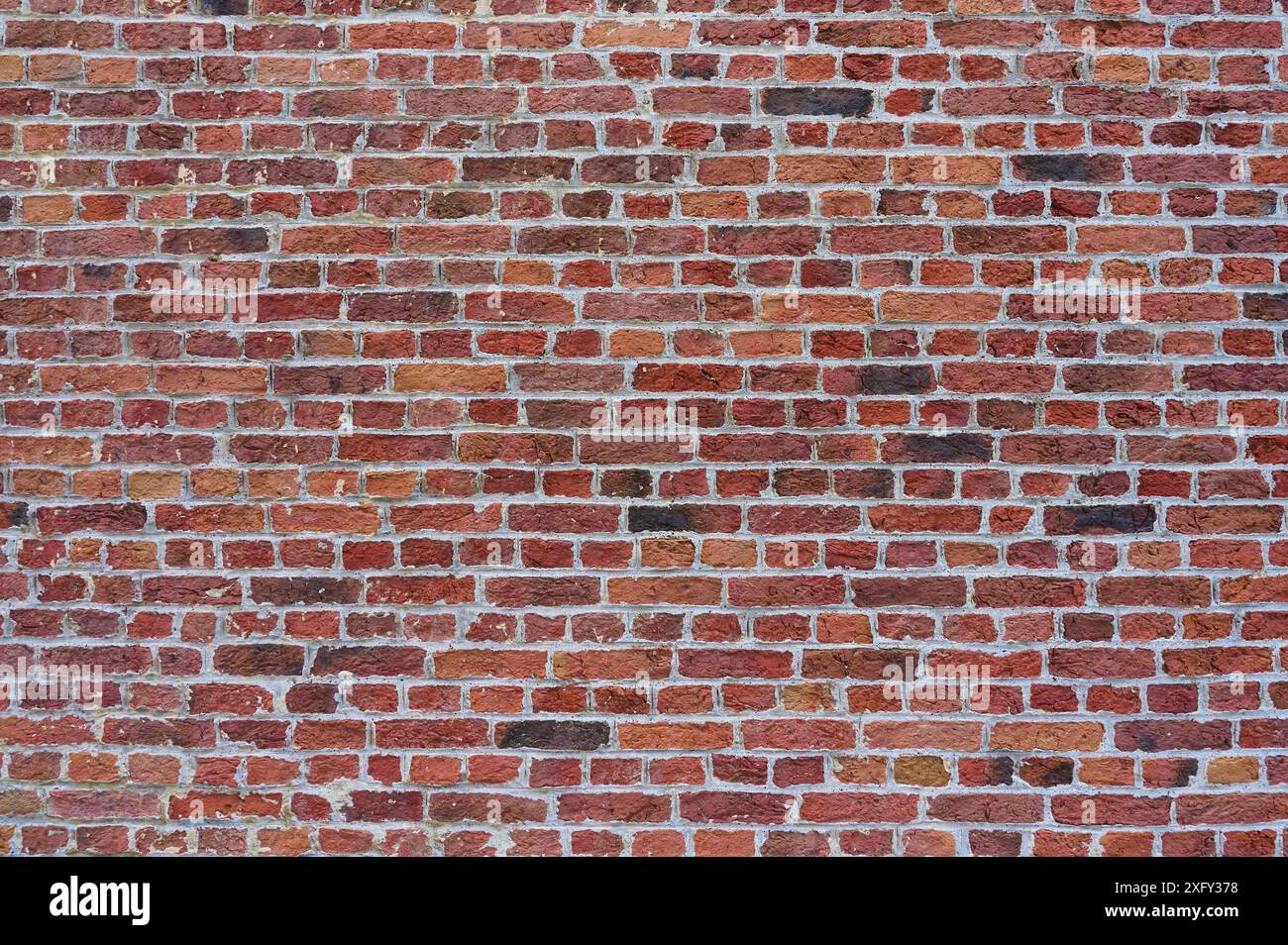 Ziegel, Mauer, Steine, Brügge, Flämische Region, Belgien Stockfoto