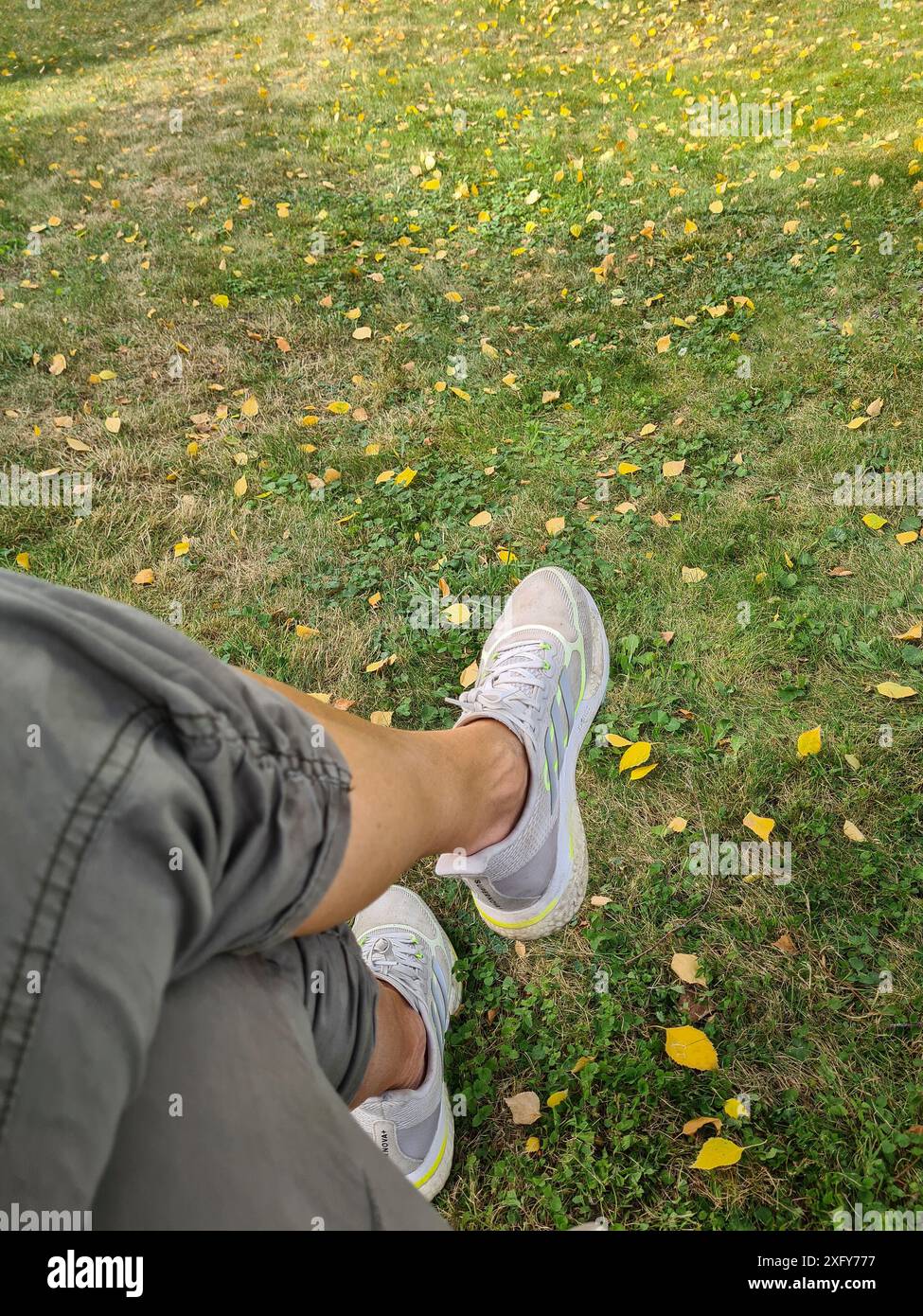 Damenbeine in Freizeitkleidung und weiße Sneakers auf dem Rasen mit Herbstlaub Stockfoto