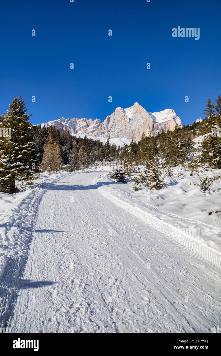 Schneebedeckter Weg entlang des Vaiolet-Tals in Richtung Gardeccia, im Hintergrund die Berggruppe Catinaccio, Dolomiten, San Giovanni di Fassa, Trentino, Italien Stockfoto