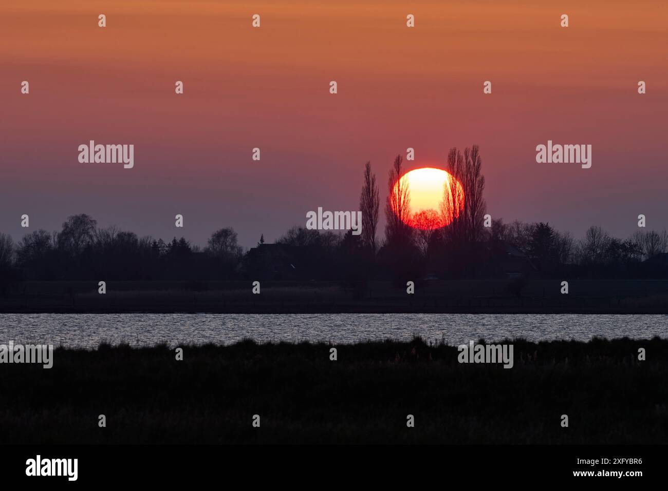 Sonne, Sonnenuntergang, Silhouette, Bäume Stockfoto