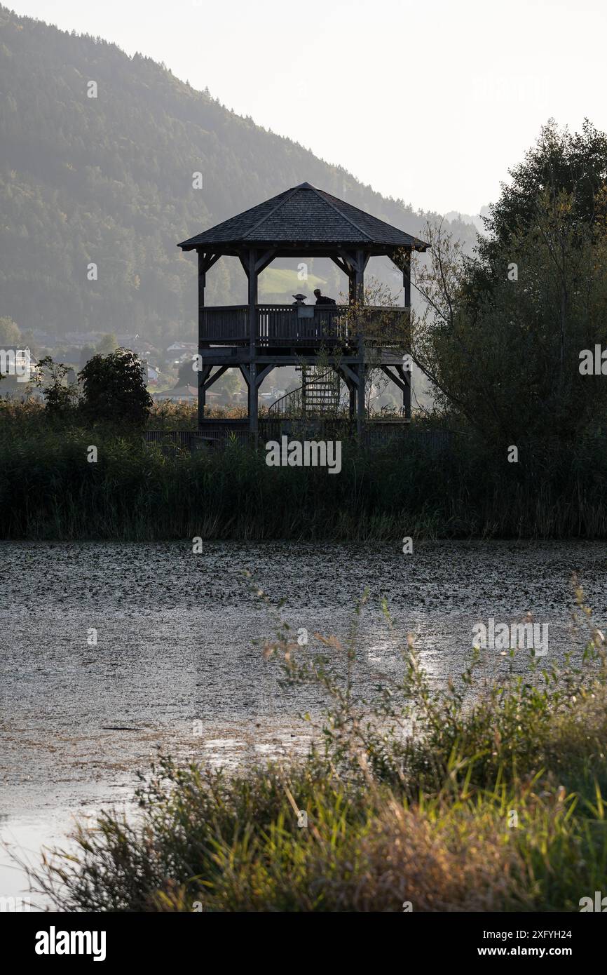 Aussichtsturm im Bleistätter Moor, Steindorfer Moorturm im Tiebel-Mündungsgebiet des Ossiachsees, Naturschutzgebiet Steindorf am Ossiacher See, Kärnten, Österreich, Europa Stockfoto