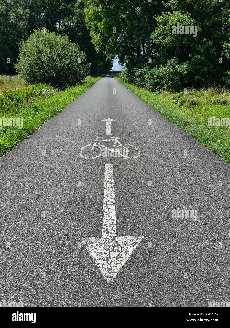 Eine Markierung auf der Straße zeigt einen weißen Pfeil in beide Richtungen und ein Fahrradsymbol, Verkehrszeichen, Verkehrsregel, Nordrhein-Westfalen Stockfoto