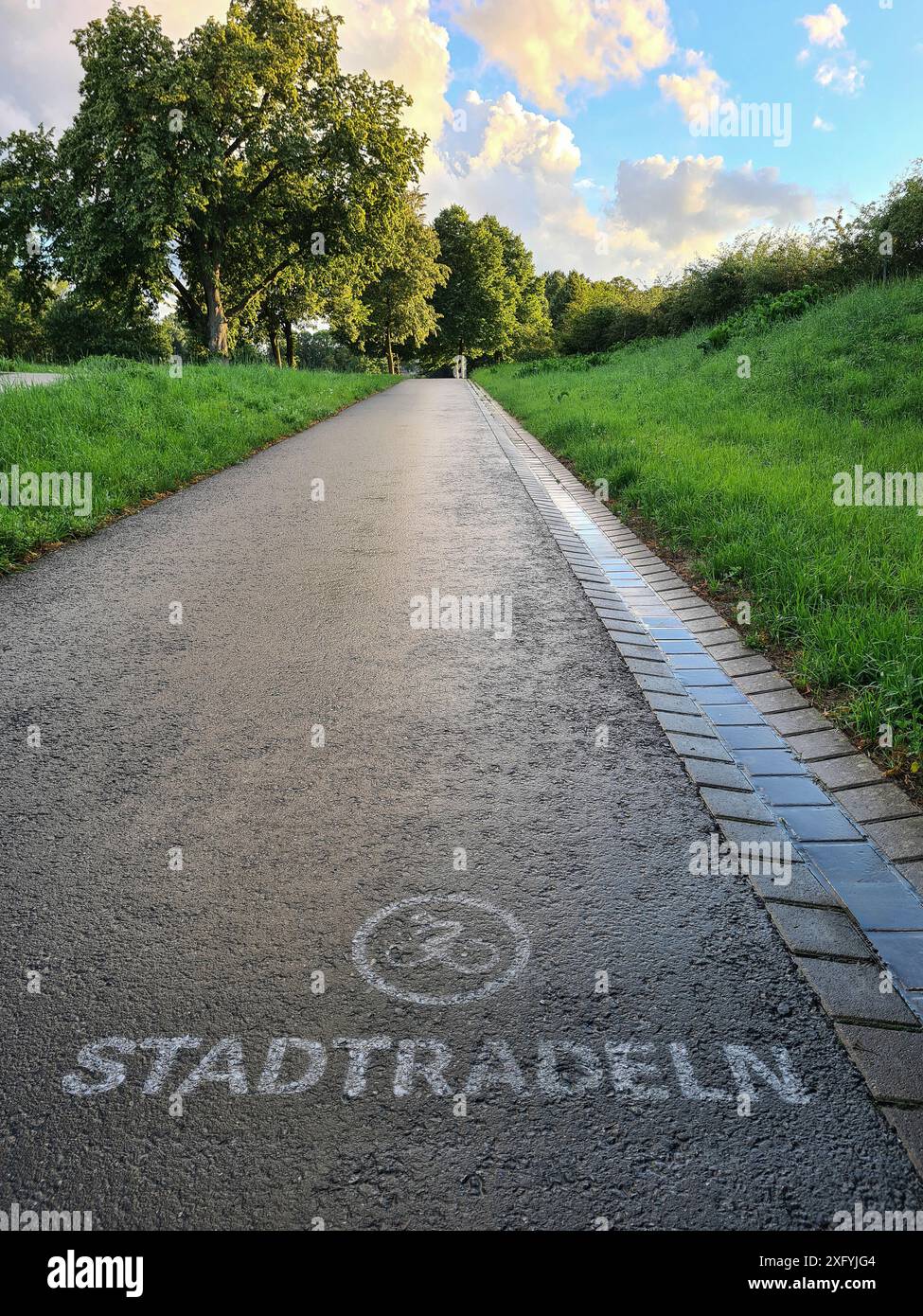 Ein Radweg in Form einer schmalen asphaltierten Straße verläuft entlang grüner Bäume und Wiesen in einem Naherholungsgebiet, Abendstimmung nach einem Regenschauer, Nordrhein-Westfalen Stockfoto