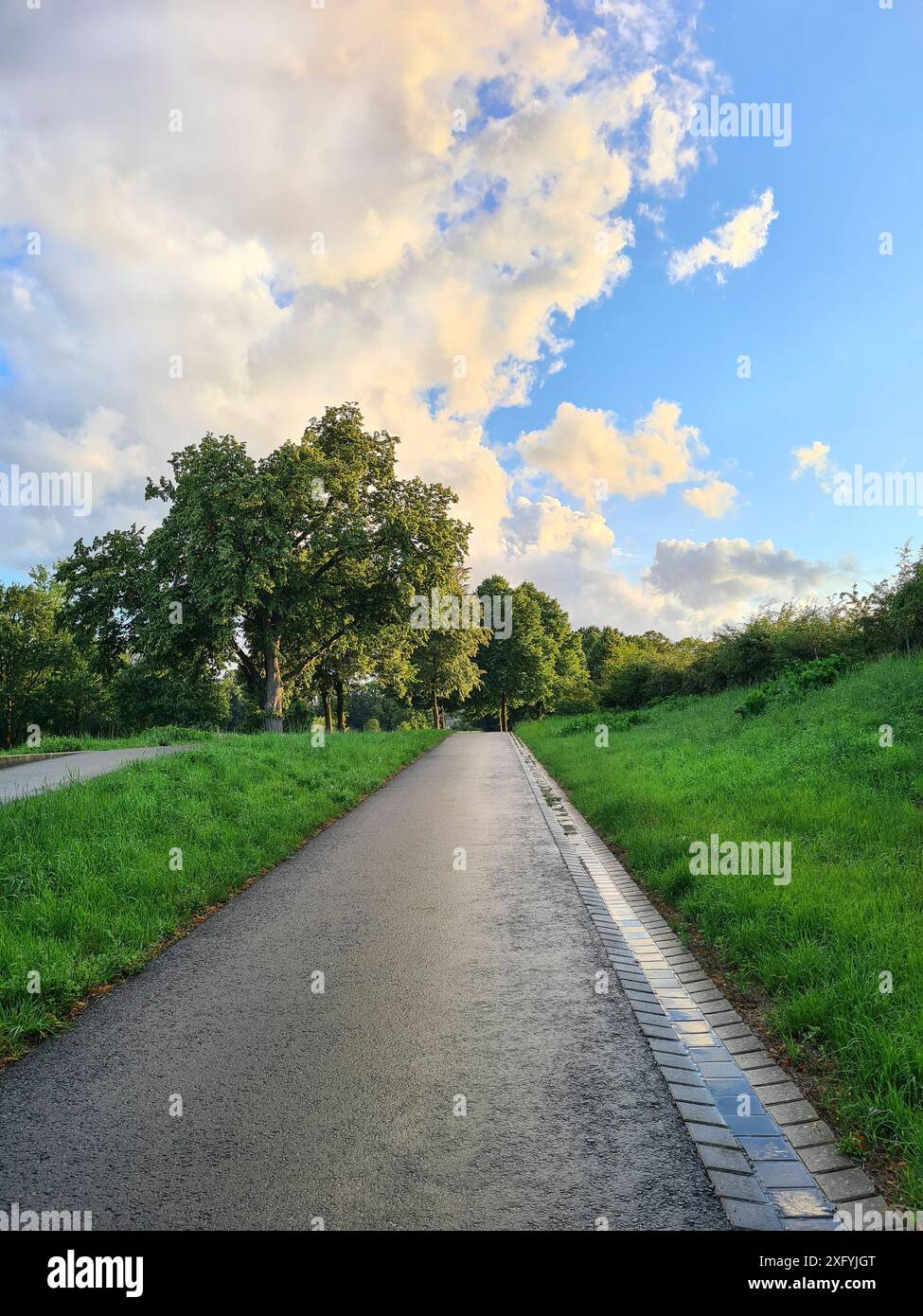 Ein Radweg in Form einer schmalen asphaltierten Straße verläuft entlang grüner Bäume und Wiesen in einem Naherholungsgebiet, Abendstimmung nach einem Regenschauer, Nordrhein-Westfalen Stockfoto