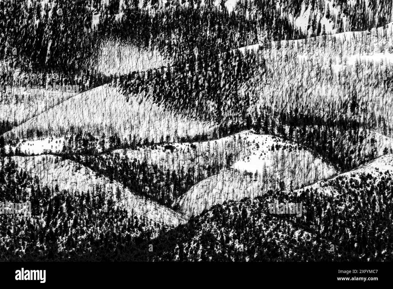 Schwarz-weiß des schneebedeckten Methodist Mountain (707 m Höhe) in der Nähe von Salida, Colorado, USA Stockfoto