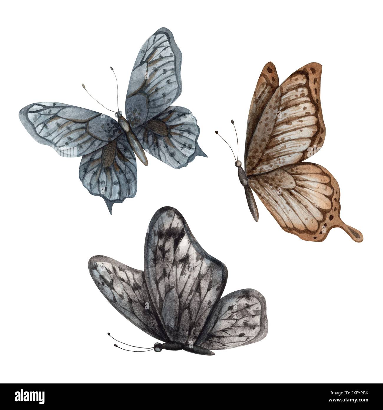 Ein Satz Schmetterlinge im gotischen Stil, schwarz, blau und braun. Der Aquarellsatz wird manuell bemalt. Für Design und Schmuck, Karten und Einladungen Stockfoto