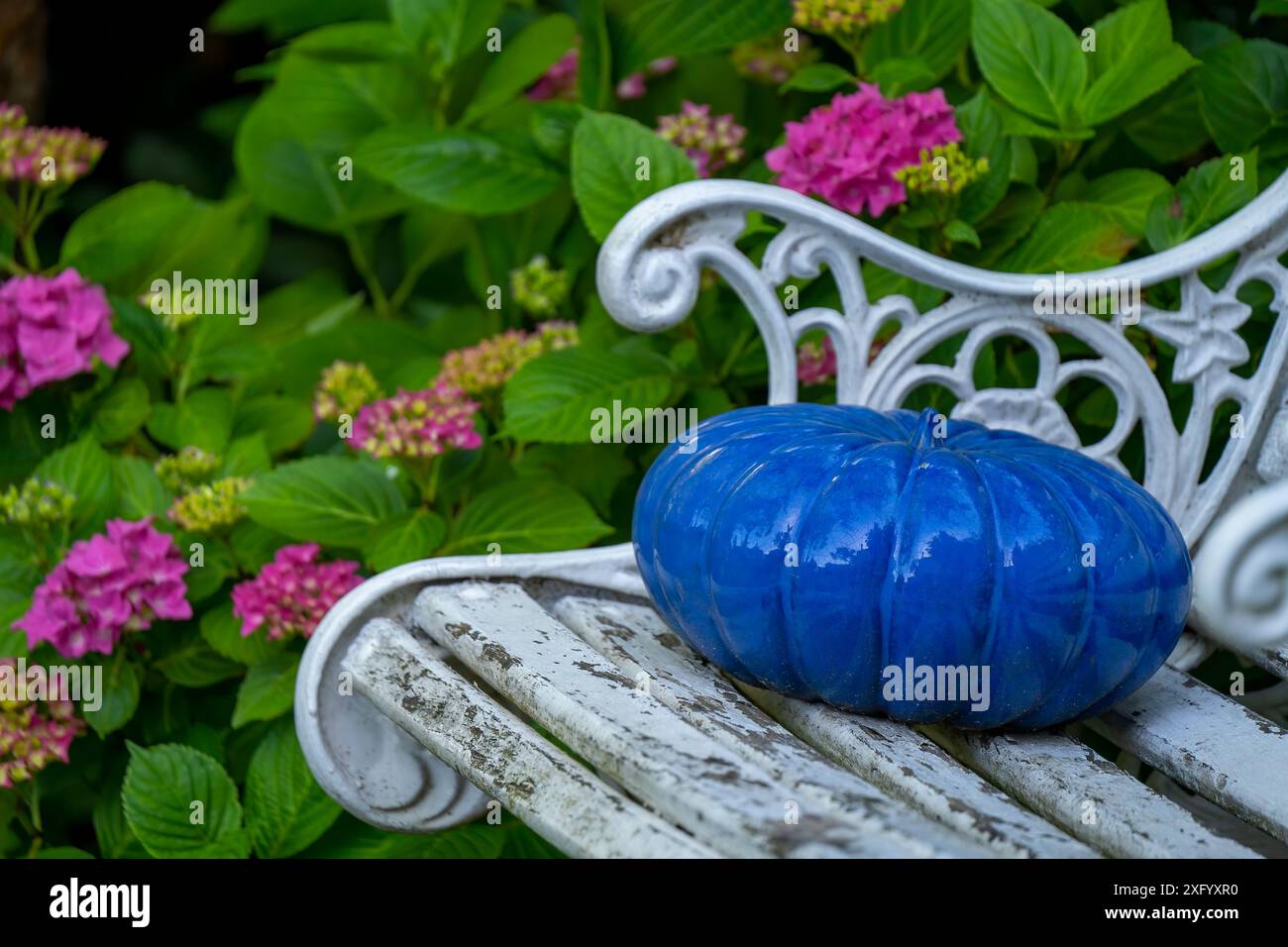 Ein weißer Gartenstuhl mit blauem Keramikkürbis zur Dekoration und einem Hintergrund von Hortensia Blume. Stockfoto