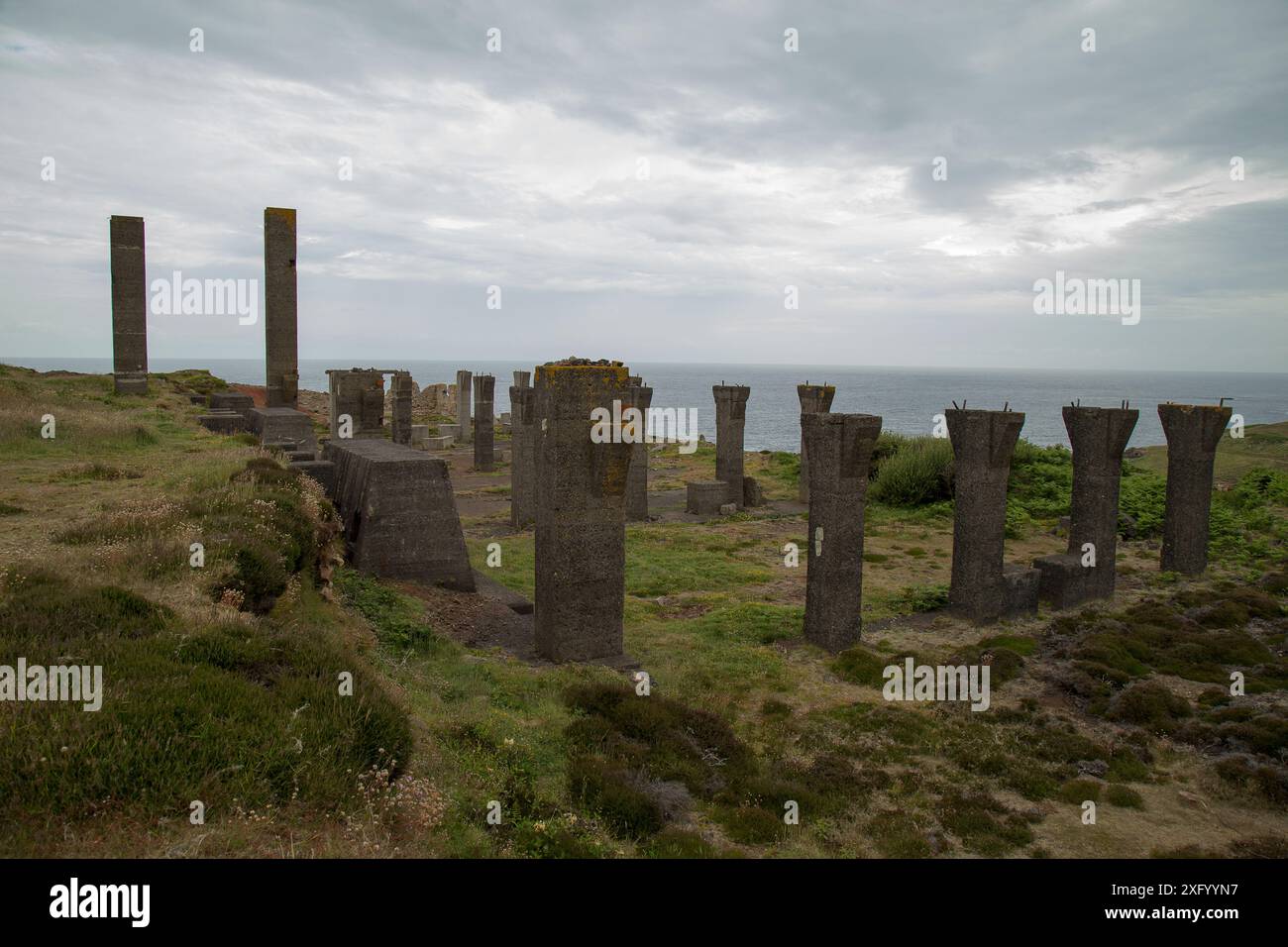 Levant-Zinnmine Stockfoto