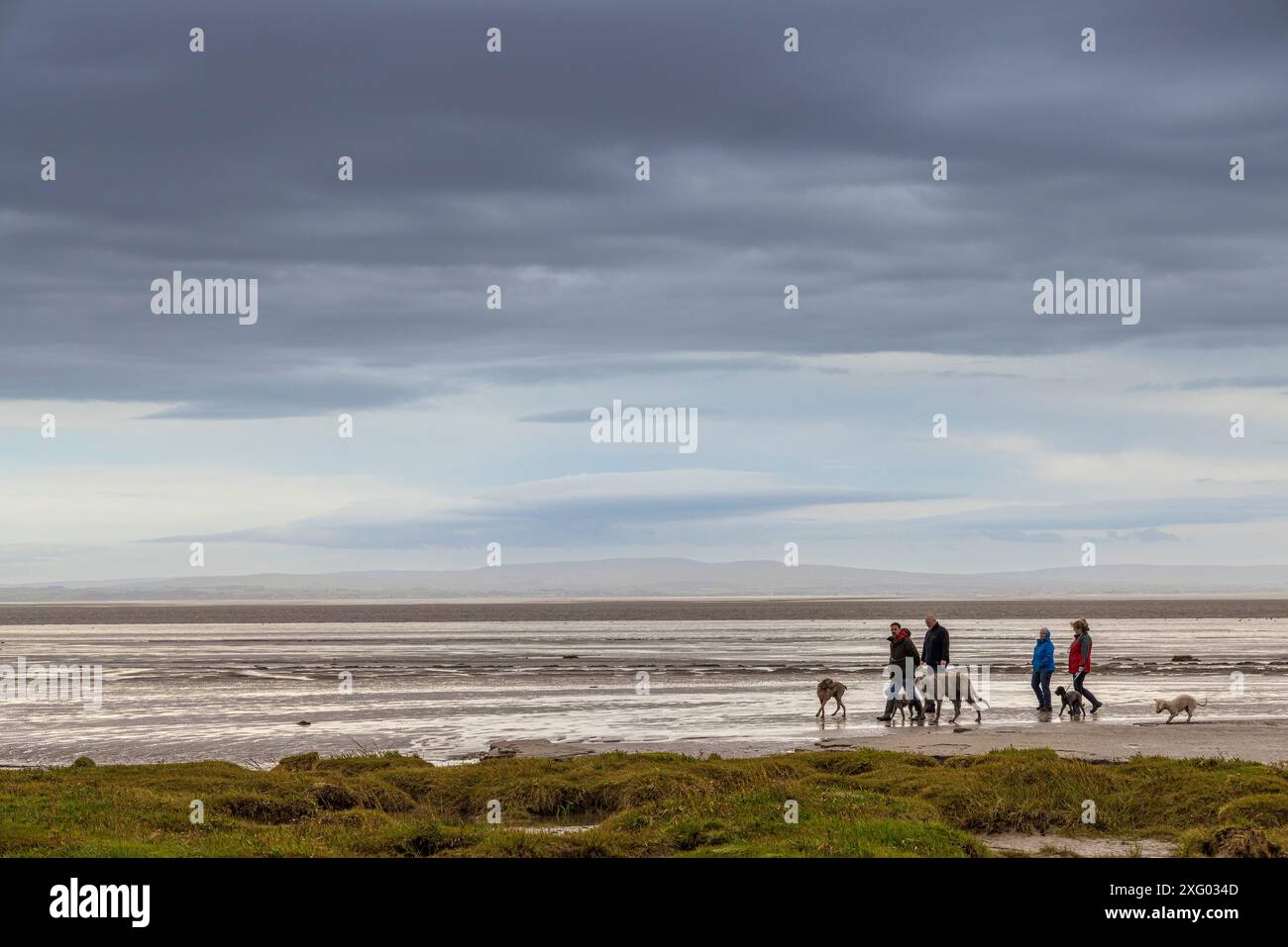 Menschen laufen Dopgs am Strand mit dunklen Sturmwolken, Grange Over Sands, Cumbria, Großbritannien Stockfoto