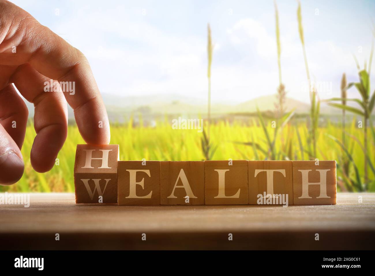 Konzept von Wohlbefinden und Wohlstand in Natur, Landwirtschaft und Naturgütern mit Hand- und Holzwürfeln mit Worten und Hintergrund mit Erntelandschaft. Stockfoto