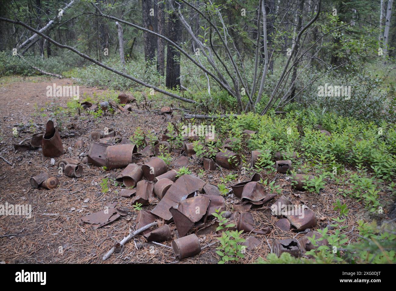 Ein Haufen alter verrosteter Blechdosen wird in einem verlassenen Gold Rush Bergbaulager am Miles Canyon in der Nähe von Whitehorse, Yukon, am Yukon River entsorgt. Stockfoto
