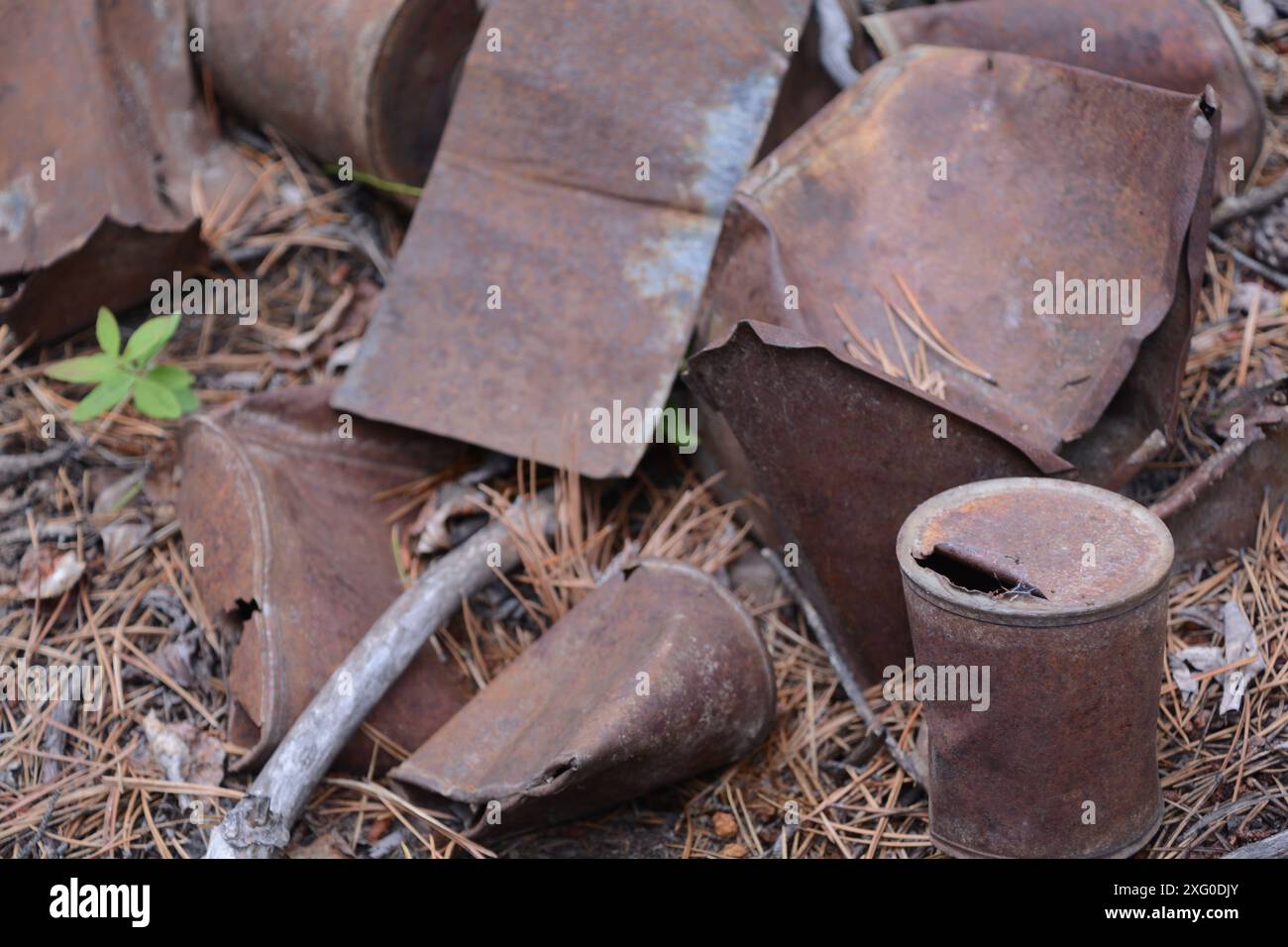 Ein Haufen alter verrosteter Blechdosen wird in einem verlassenen Gold Rush Bergbaulager am Miles Canyon in der Nähe von Whitehorse, Yukon, am Yukon River entsorgt. Stockfoto