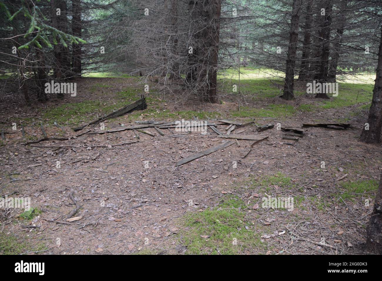 Alte hölzerne Fundamente sind alles, was von dieser verlassenen Stadt Dyea, Alaska am Chilkoot Pass Trail übrig geblieben ist. Stockfoto