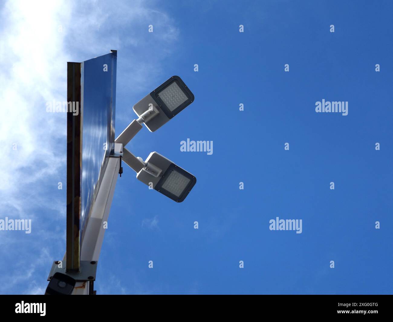 Zweige am Himmel mit grünen Blättern und toten Zweigen. Stockfoto