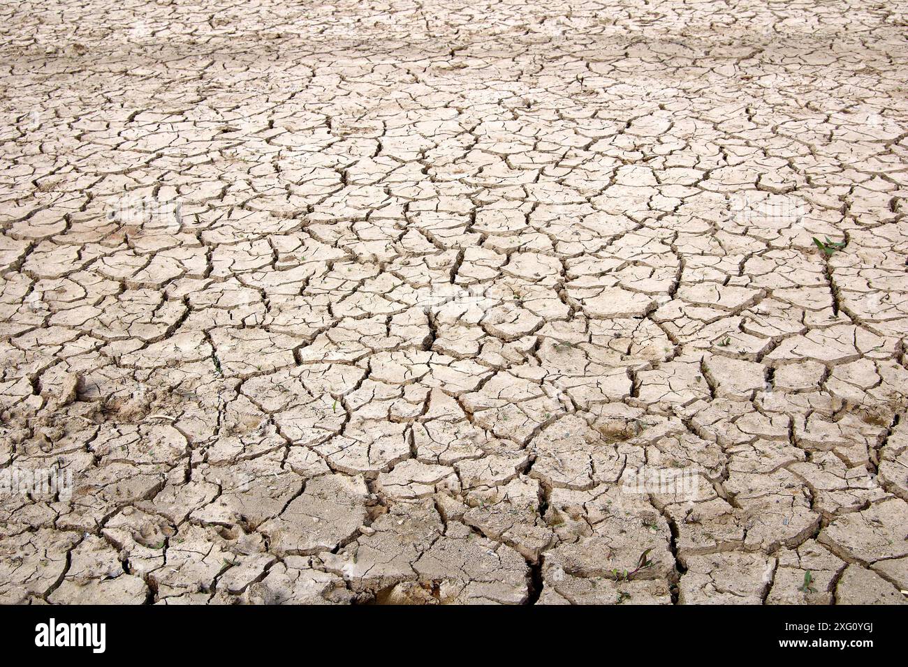 Kein Leben ohne Wasser Stockfoto