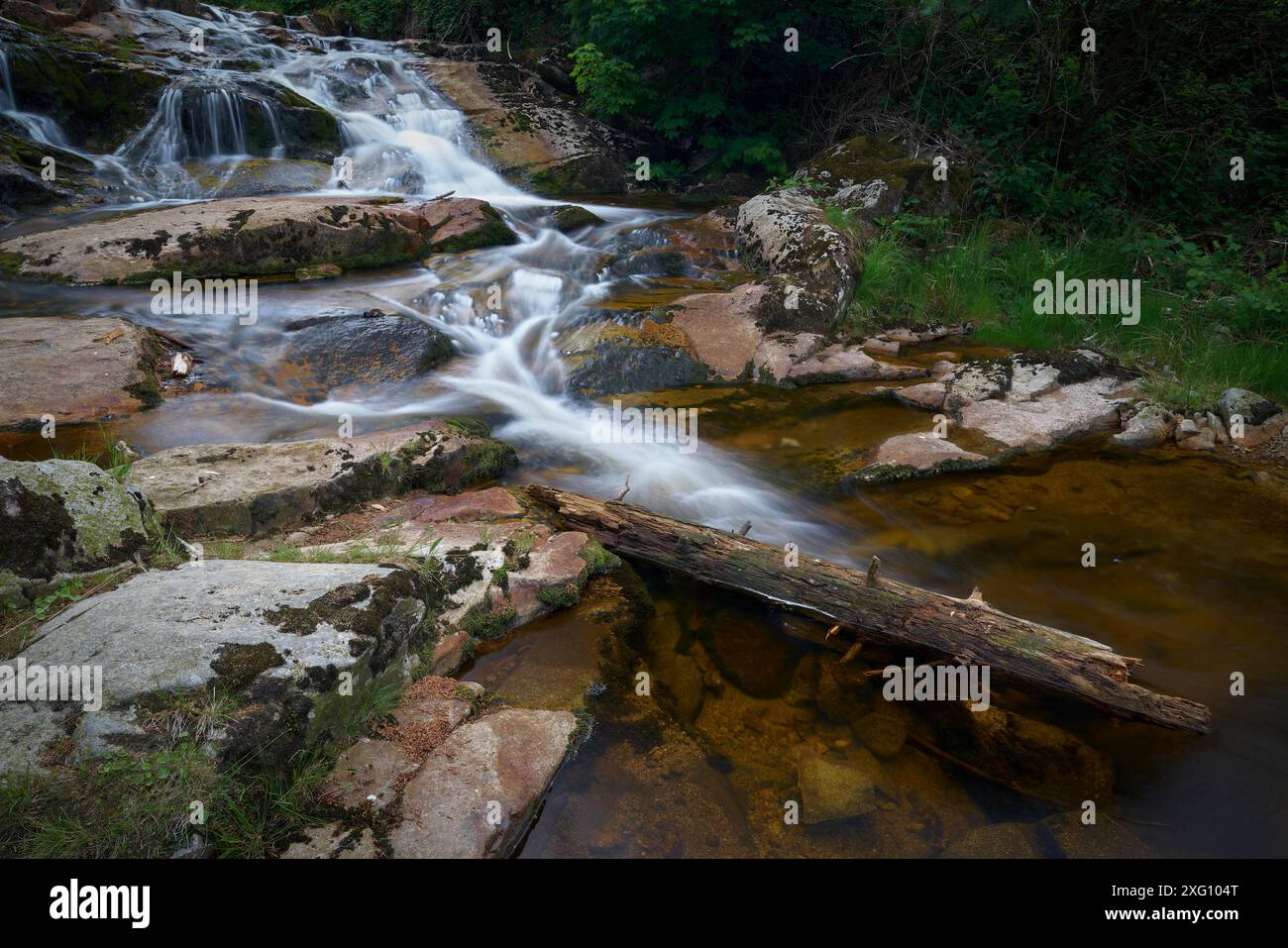 Der romantische Fluss Ilse bei Ilsenburg am Fuße Stockfoto
