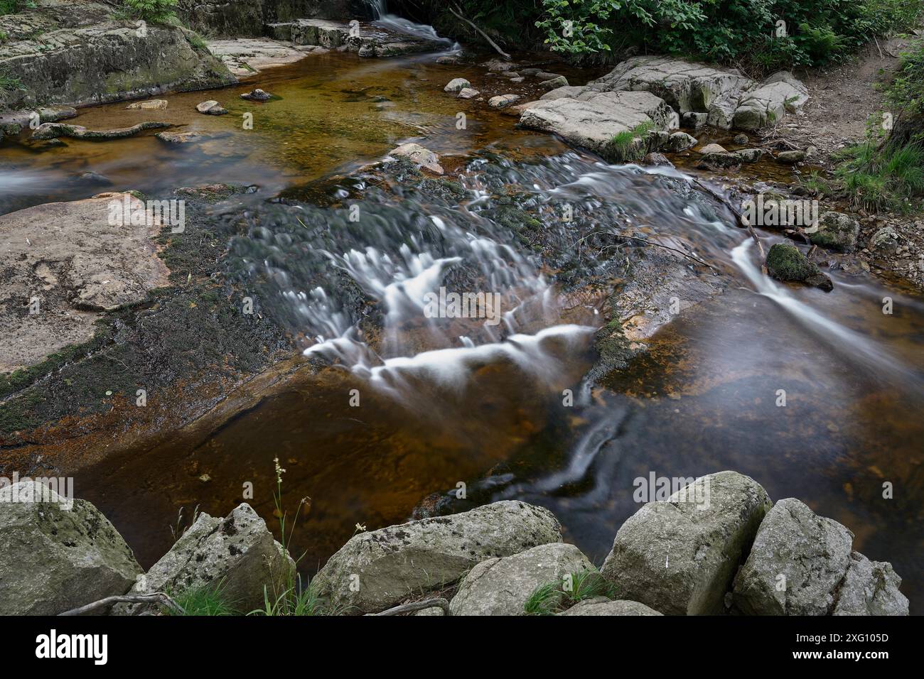 Der romantische Fluss Ilse bei Ilsenburg am Fuße Stockfoto