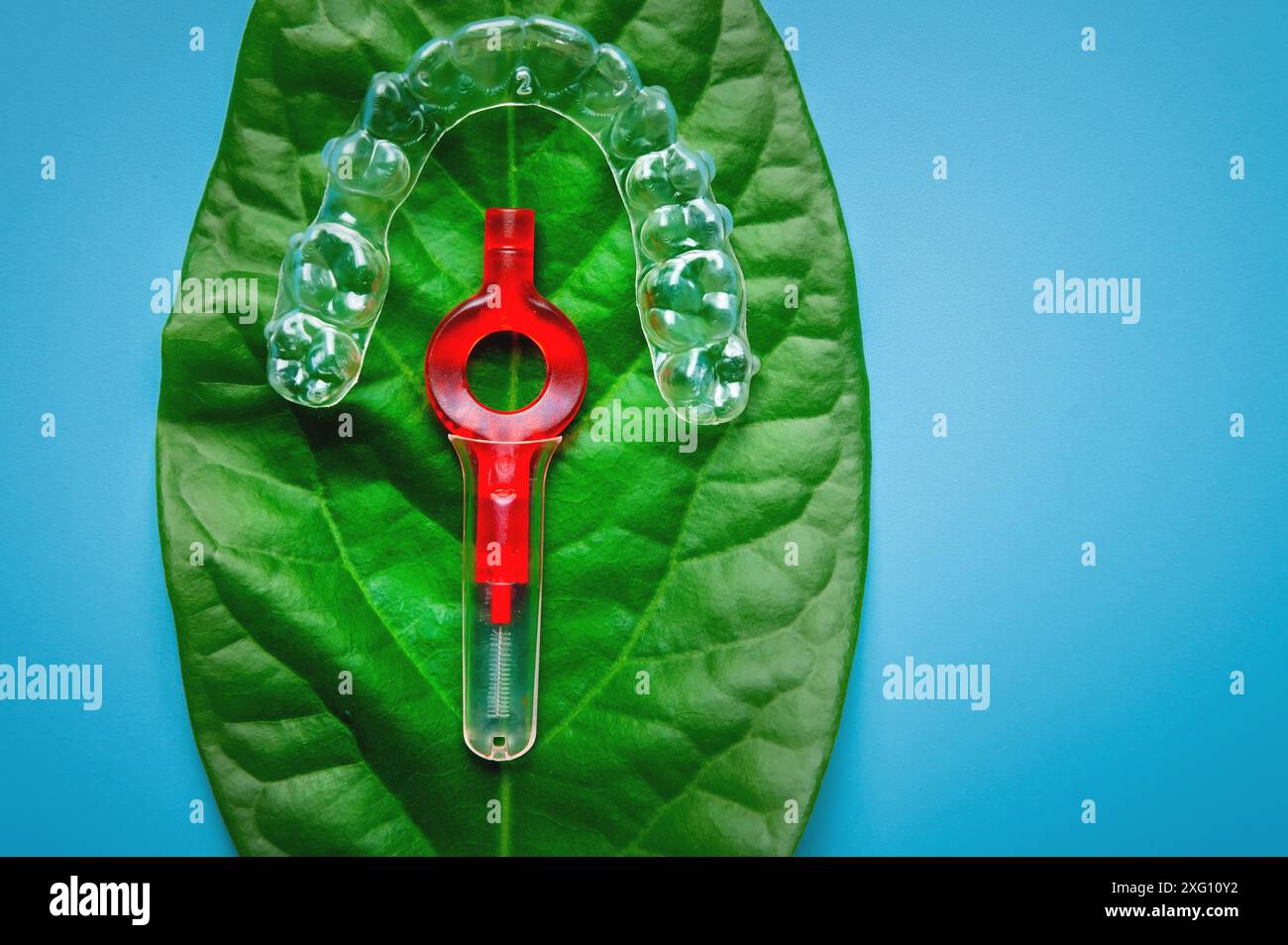 Draufsicht, Kunststoffspange und Interdentalbürste liegen auf einem grünen Blatt einer Blume. Das Konzept der schonenden Zahnbehandlung Stockfoto