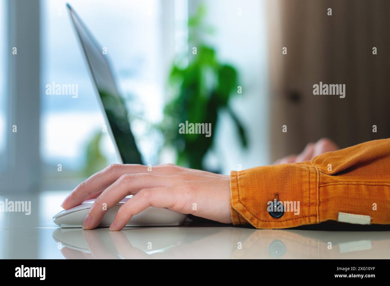 Häusliche Umgebung, die Hand der Frau liegt auf der Laptop-Maus, Arbeit von zu Hause aus Stockfoto