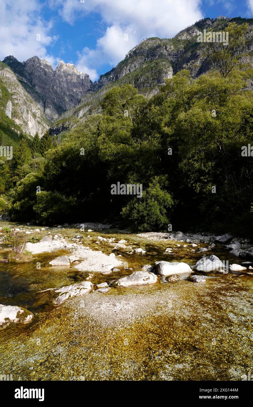 Am Raccolana-Bach auf dem Monte Cimone in Italien Stockfoto