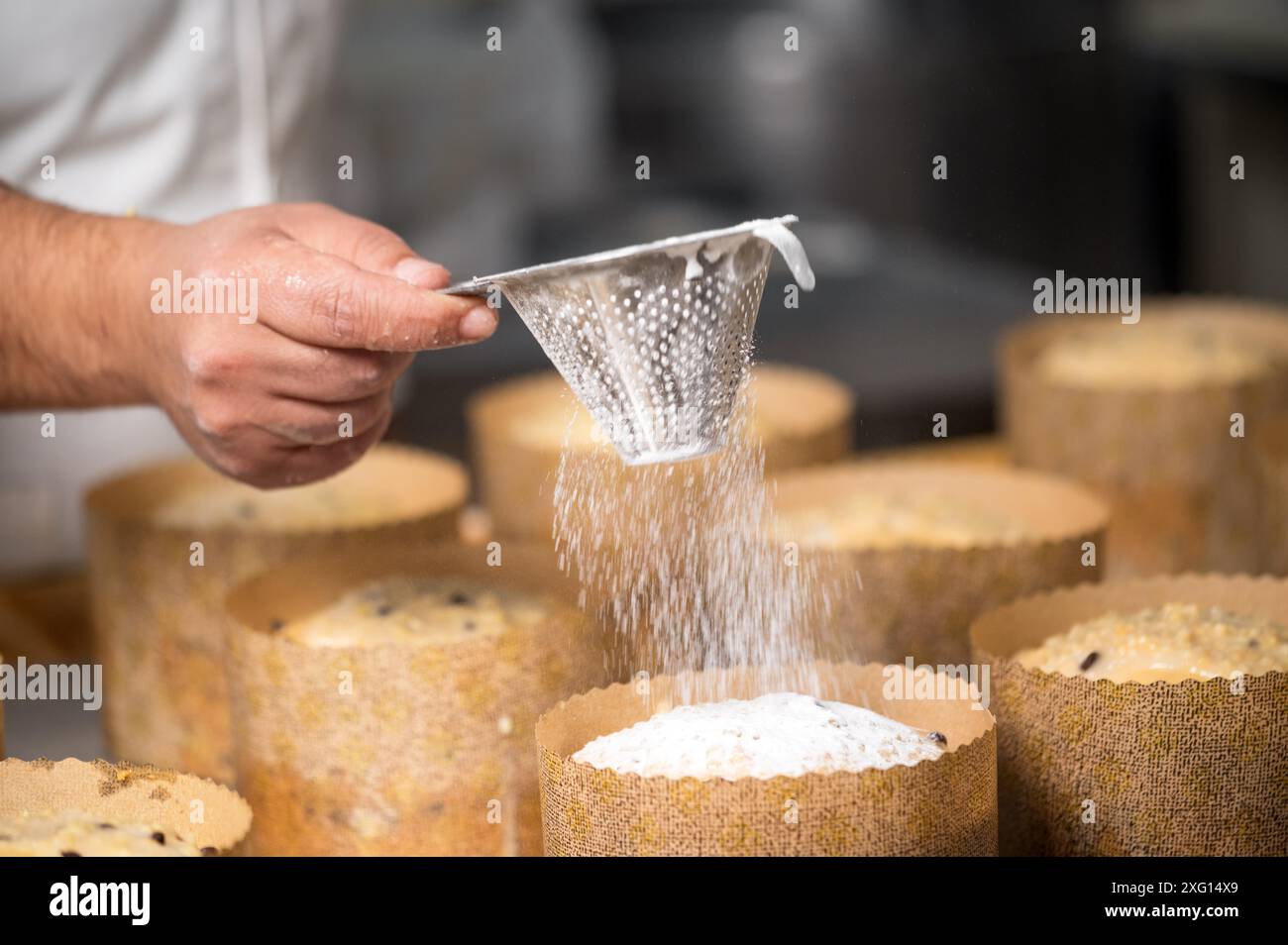 Der Konditor serviert traditionelle italienische Panettones mit Puderzucker. Hochwertige Fotografie Stockfoto