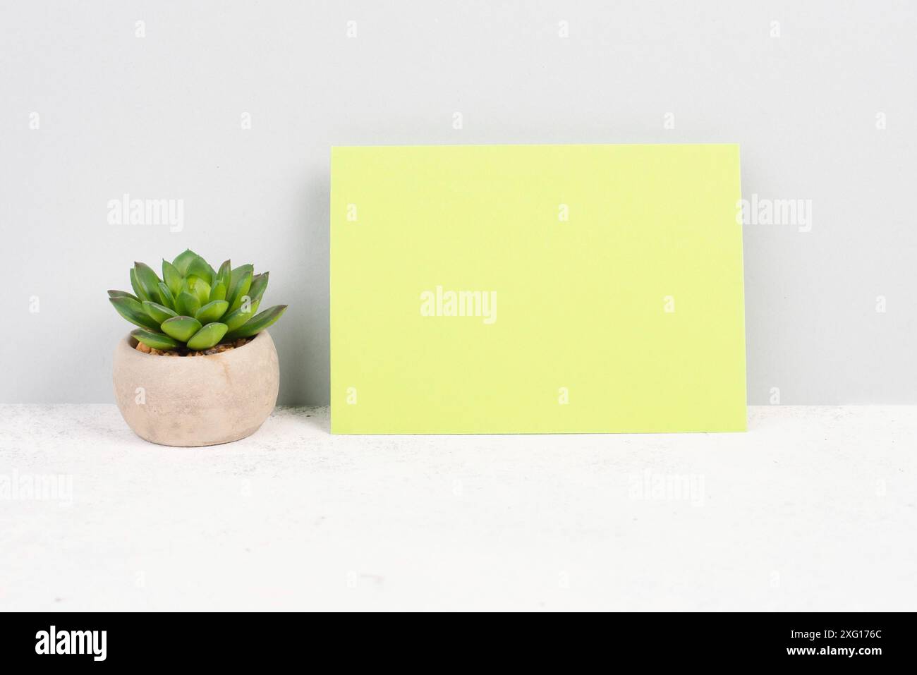 Leeres Papier mit kaktusstrukturiertem Hintergrund, Brainstorming für neue Ideen, Schreiben einer Nachricht, eine Pause machen, Schreibtisch im Home Office Stockfoto