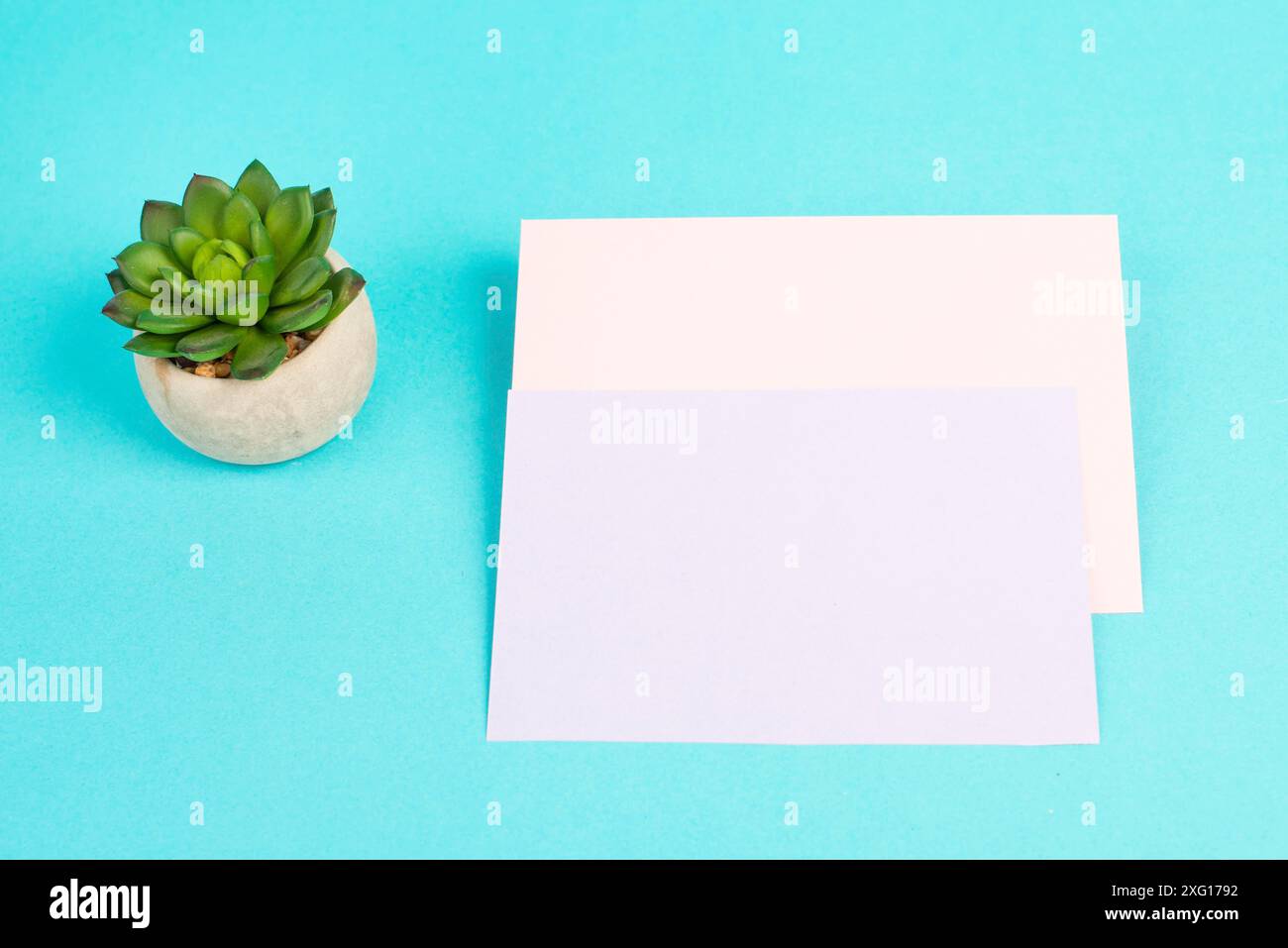 Leeres Papier mit einem kaktusstrukturierten Hintergrund, Brainstorming für neue Ideen, Schreiben einer Nachricht, Home Office Schreibtisch Stockfoto