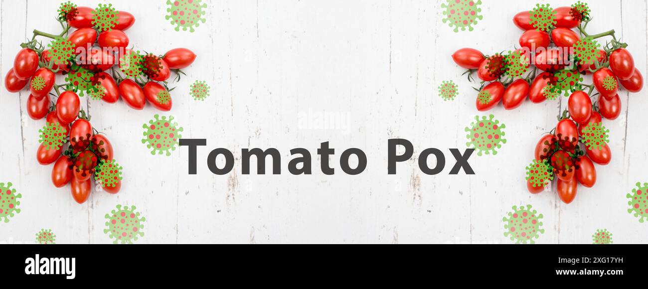 Tomatenpocken, Ausbruch des Virus in Indien, Infektionskrankheit breitet sich aus Stockfoto