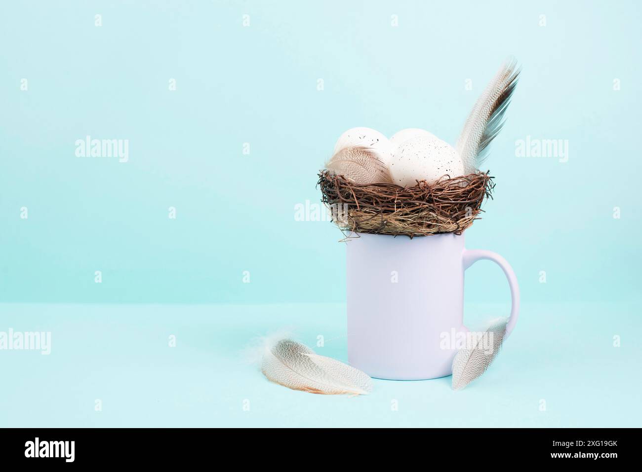 Tasse oder Becher mit ostereiernest und Vogelfedern, Frühjahrsgrußkarte Stockfoto