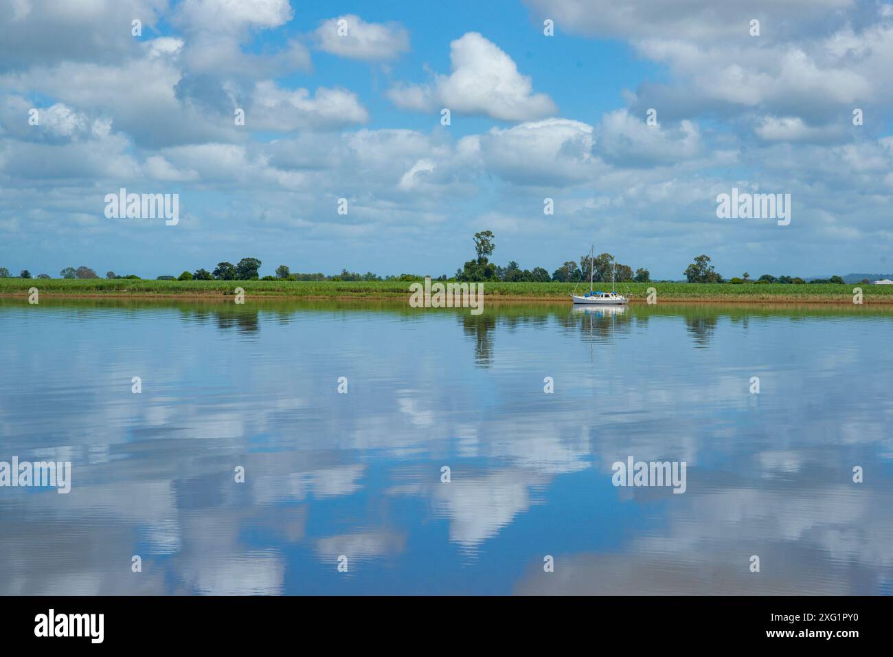 Grün der Zuckerrohrplantage am Clarence River vom Bootsanleger mit Yacht, die auf der anderen Seite in der Nähe der australischen Stadt Ulmara verankert ist. Stockfoto